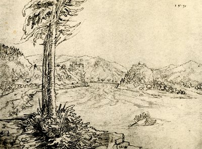 Donau virvler ved Grein av Wolf Huber