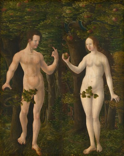 The Fall of Man [middle panel], c. 1535.    1137524   no       norwegian Successfully Translated  Original: Portrait of Philip I, Duke of Pomerania by Lucas Cranach Elder (1472-1553), drawing Translat: Portrait of Philip I, Duke of Pomerania by Lucas Crana av Workshop of Albrecht Altdorfer