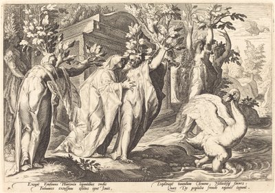 Phaetons søstre endret seg til poppel, Cygnus til en svane av Workshop of Hendrick Goltzius, after Hendrick Goltzius