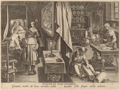 Guaiacum og venerisk infeksjon av Workshop of Philip Galle after Jan van der Straet