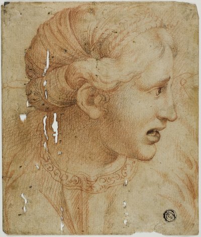  av Workshop of Raphael