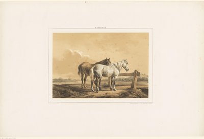 To hester i en eng nær et gjerde av Wouter  Verschuur