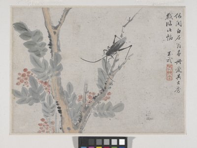Insekt og tre etter Shen Zhou (blekk og farge på papir) av Wu Wang