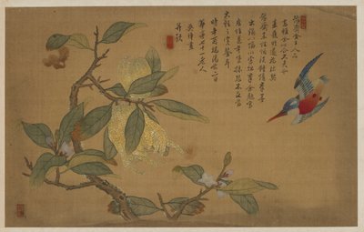 Fugl, frukt og blomster av Wu Zhang