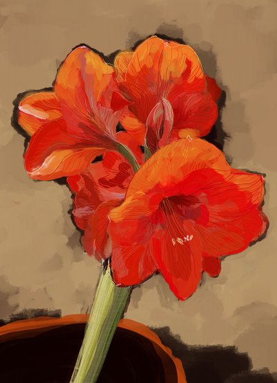 Livlig amaryllisblomst av XHOZUCAN