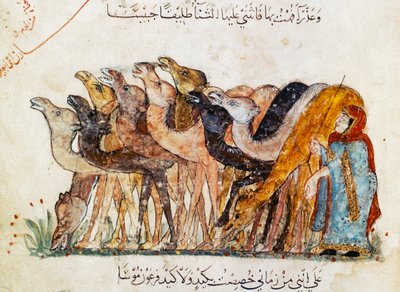 Ms Ar 5847 f.101, flokk med kameler, fra 
