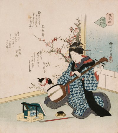 Te-ike no hana "Håndplukket blomst", et begrep som brukes for å referere til en geisha eller kurtisane som har blitt kona eller elskerinnen til beskytteren som kjøpte ut kontrakten hennes med en bordello, som illustrerer en kvinne som stemmer en samisen, m av Yanagawa II Shigenobu