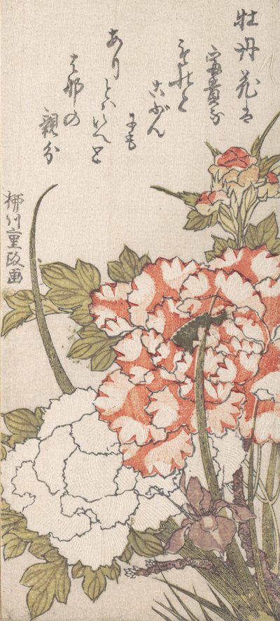 Peonies and Iris, 18th-19th century.    1147076   no       norwegian Successfully Translated  Original: Voyages pittoresques et romantiques dans lancienne France. Franche-Comté: Source du Lison Translat: Voyages pittoresques et romantiques dans l