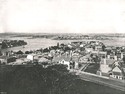 Utsikt fra North Shore, Sydney, Australia, 1895. av York and Son