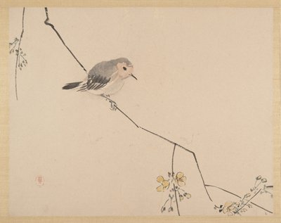 Maleri av Zeshin Shibata