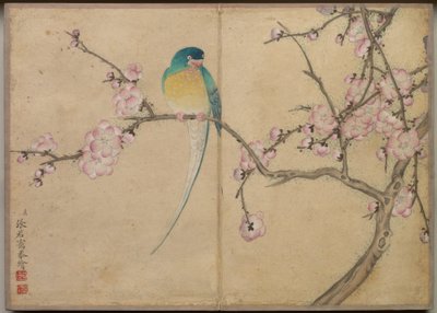  av Zhang Ruoai