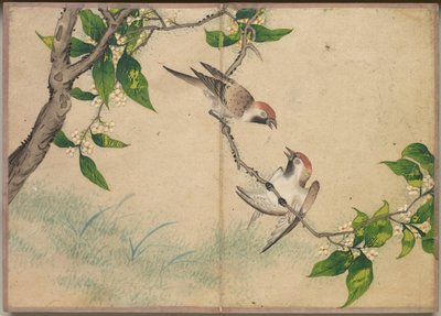 Skrivebordsalbum: Blomster- og fuglemalerier (sladderspurver) av Zhang Ruoai