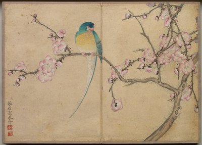 Desk Album: Flower and Bird Paintings Bird with Plomme Blossoms, 1700-tallet. av Zhang Ruoai