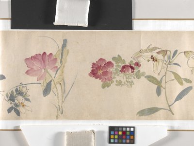 Fargede blomster av Zhimian Zhou
