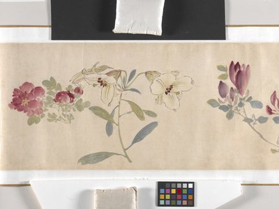 Fargede blomster av Zhimian Zhou