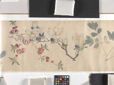 Fargede blomster av Zhimian Zhou