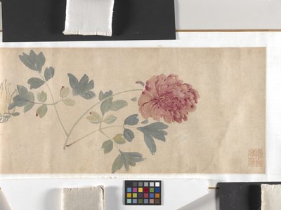 Fargede blomster av Zhimian Zhou