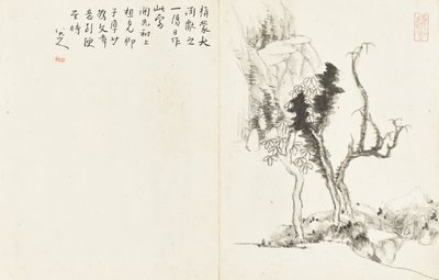 Landskap og blomster, album med seks blader av Zhu da Bada Shanren
