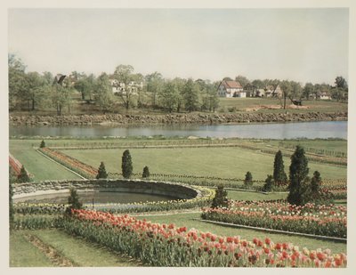 American Suburban Scene