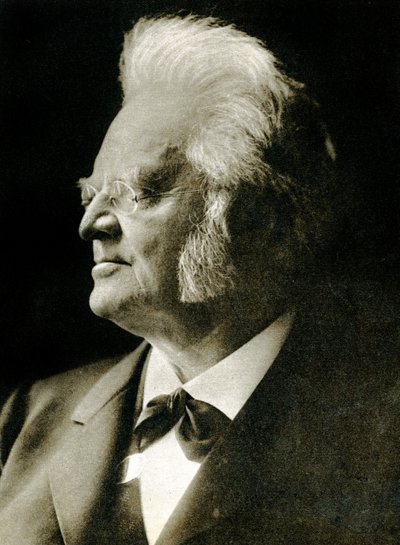 Bjørnstjerne Bjørnson (fotogravure) av Hippolyte Lalaise Devéria