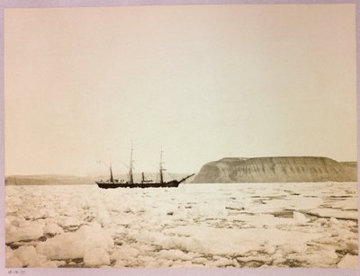 Arktisk ekspedisjon (1875–1876) av kaptein George Nares (1831–1915): H av Frederick (attr. to) Barnard