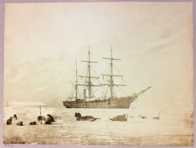 Arktisk ekspedisjon (1875–1876) av kaptein George Nares (1831–1915): H av Frederick (attr. to) Barnard