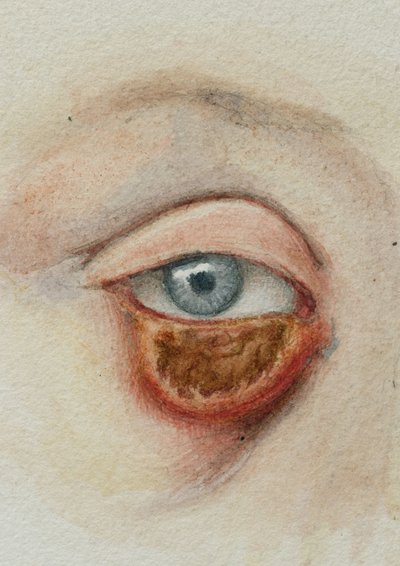 Øyne av Frederick (attr. to) Barnard