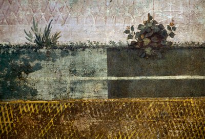 Blomstervase, detalj fra en freskomaleri som viser en hage med frukttrær og fugler, fra House of Livia på Palatine-høyden, Roma, Italia. romersk sivilisasjon av Georg Carl Heinrich Dollmann