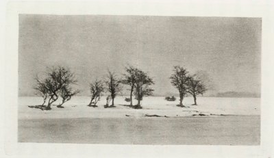 'Knisete tornetrær' av Frederick (attr. to) Barnard