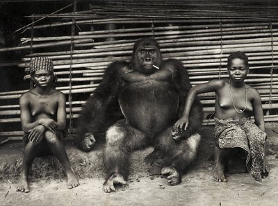 Gorilla (gelatinsølvtrykk) av Hippolyte Lalaise Devéria