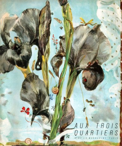 Iris (blomst). ca. 1920 (gravering) av . .