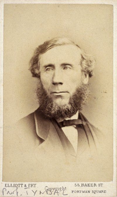 John Tyndall , irsk fysiker, ca 1875 av Frederick (attr. to) Barnard