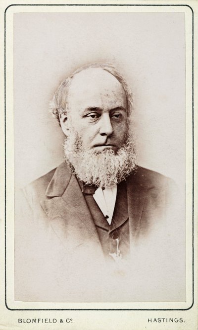 Mr Hackett, sekretær for General Steam Navigation Company av Frederick (attr. to) Barnard