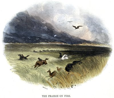 Prairie on Fire' av Frederick (attr. to) Barnard