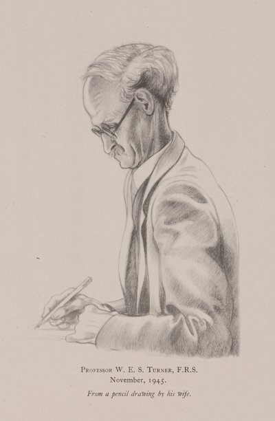 Professor WES Turner, november av Frederick (attr. to) Barnard
