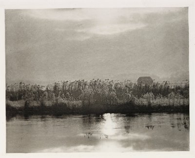 'Rime-krystaller' av Frederick (attr. to) Barnard