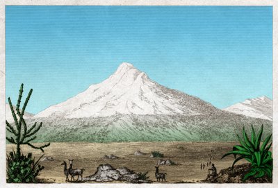 Chimborazo-vulkanen fra platået i Tapia, Ecuador. rundt 1840 (gravering) av . .