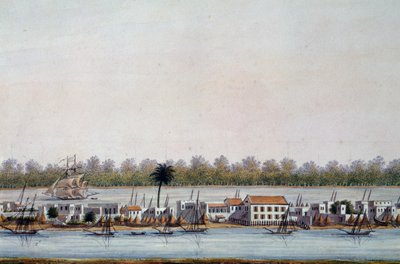Utsikt over St Louis, Senegal av William Walcutt