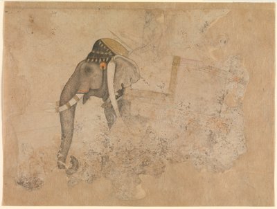 Hashim. Elefant og rytter. ca. 1640 Metropolitan Museum of Art, New York av Hashim