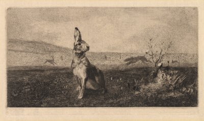 Haren av after Albert de Balleroy