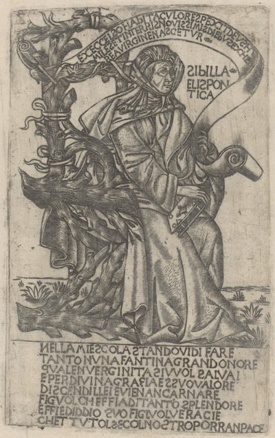 Hellespontine Sibyl av after Baccio Baldini