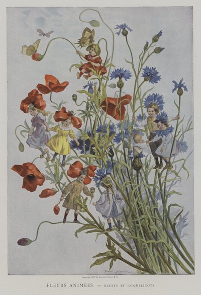 Fleurs Animees. Bluets og Coquelicots. (Animerte blomster: kornblomster og valmuer) av after Firmin Bouisset