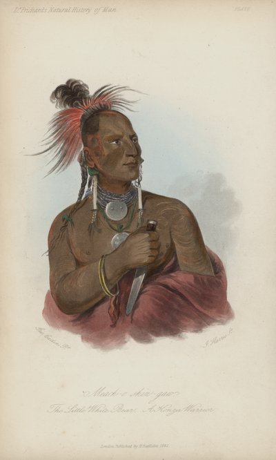 Meach-o shin-gaw, The Little White Bear, A Konza Warrior (akvatint) av after George Catlin