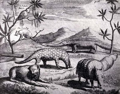 Creatures of the Northern River Plate, som avbildet av en tidlig kunstner, fra Nierhoffs Voyages and Travels, fra The Romance of the River Plate, Vol. I, av W.H. Koebel, 1914 av after German School