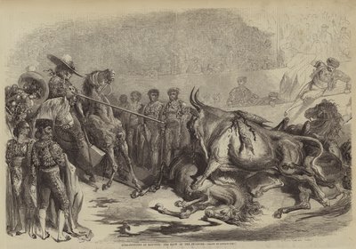 Tyrekamp ved Bayonne, slaget til Picadore av Gustave after Dore