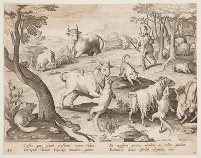 Okser og geiter angrepet av rever av after Jan van der Straet, called Stradanus