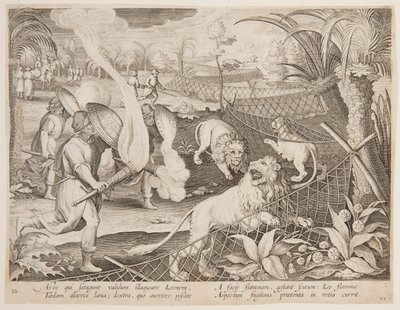 Løvefelle av after Jan van der Straet, called Stradanus