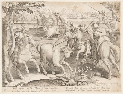Å fange ville okser av after Jan van der Straet, called Stradanus