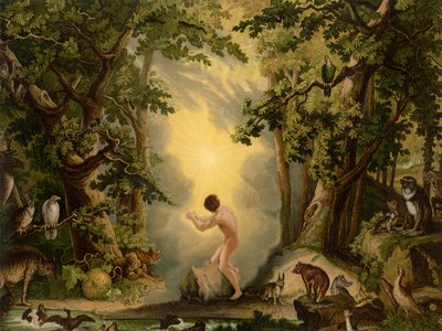 Skapelsen av Adam av Johann Elias Ridinger or Riedinger