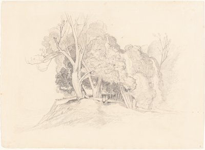 Landskap med trær av after John Sell Cotman British 19th Century